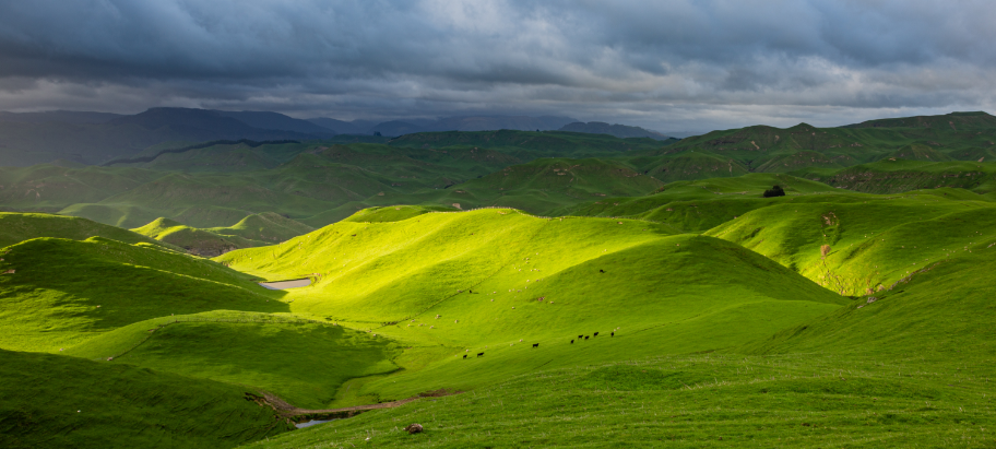 AFFCO CHN About 5S7A8761 2